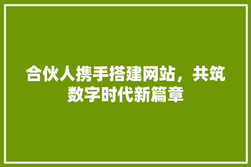 合伙人携手搭建网站，共筑数字时代新篇章