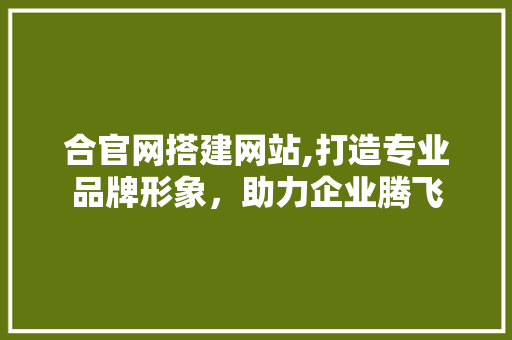 合官网搭建网站,打造专业品牌形象，助力企业腾飞 合官网搭建网站,打造专业品牌形象，助力企业腾飞 搜狗优化