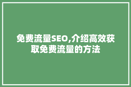 免费流量SEO,介绍高效获取免费流量的方法