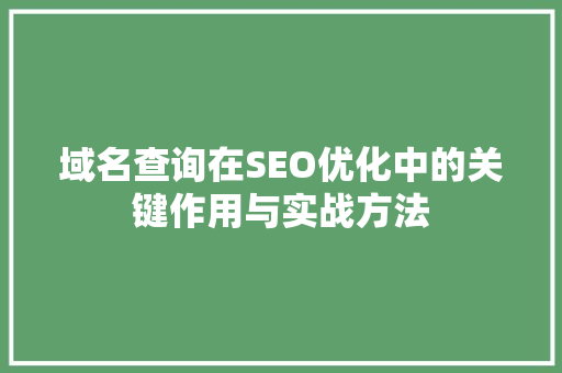 域名查询在SEO优化中的关键作用与实战方法
