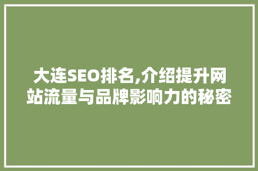大连SEO排名,介绍提升网站流量与品牌影响力的秘密武器