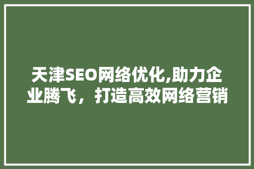 天津SEO网络优化,助力企业腾飞，打造高效网络营销步骤