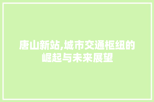 唐山新站,城市交通枢纽的崛起与未来展望
