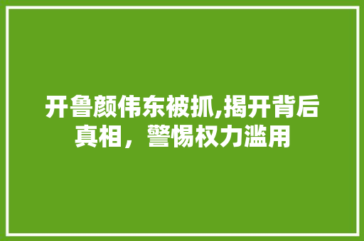 开鲁颜伟东被抓,揭开背后真相，警惕权力滥用