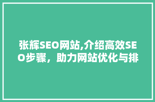 张辉SEO网站,介绍高效SEO步骤，助力网站优化与排名提升
