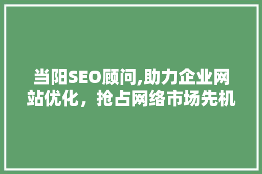 当阳SEO顾问,助力企业网站优化，抢占网络市场先机
