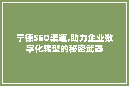 宁德SEO渠道,助力企业数字化转型的秘密武器