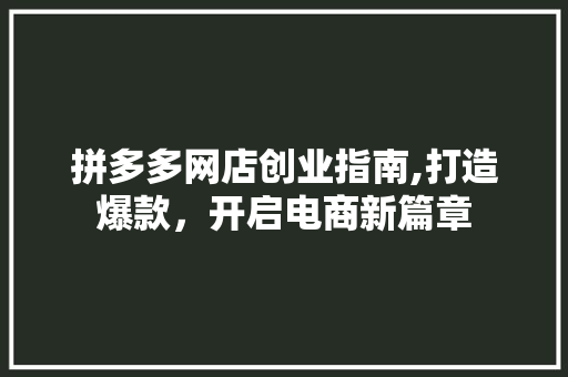 拼多多网店创业指南,打造爆款，开启电商新篇章