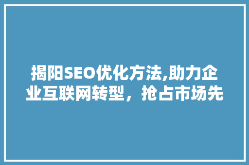 揭阳SEO优化方法,助力企业互联网转型，抢占市场先机 揭阳SEO优化方法,助力企业互联网转型，抢占市场先机 网站优化