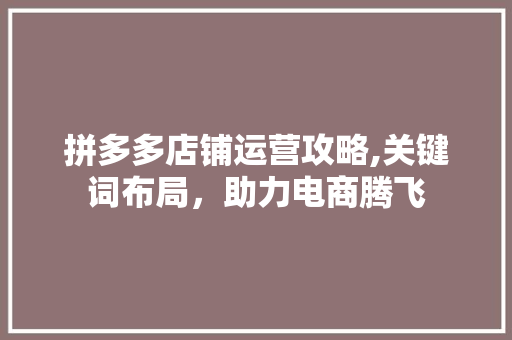 拼多多店铺运营攻略,关键词布局，助力电商腾飞