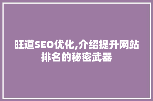 旺道SEO优化,介绍提升网站排名的秘密武器