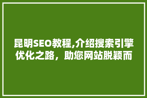昆明SEO教程,介绍搜索引擎优化之路，助您网站脱颖而出 昆明SEO教程,介绍搜索引擎优化之路，助您网站脱颖而出 小程序开发