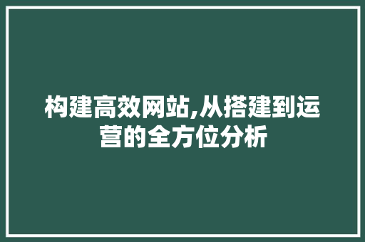构建高效网站,从搭建到运营的全方位分析 构建高效网站,从搭建到运营的全方位分析 网站优化