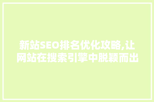 新站SEO排名优化攻略,让网站在搜索引擎中脱颖而出
