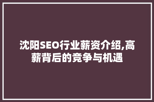 沈阳SEO行业薪资介绍,高薪背后的竞争与机遇