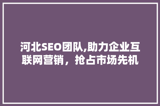 河北SEO团队,助力企业互联网营销，抢占市场先机