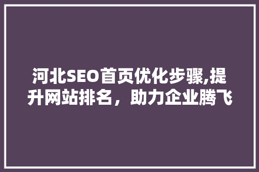 河北SEO首页优化步骤,提升网站排名，助力企业腾飞