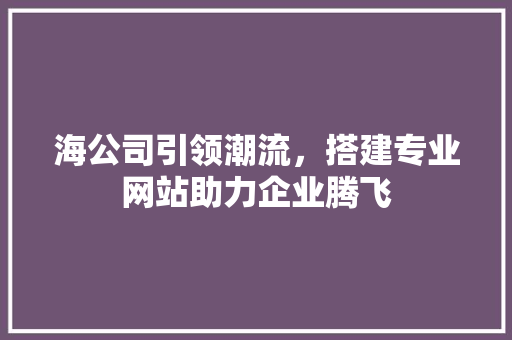 海公司引领潮流，搭建专业网站助力企业腾飞
