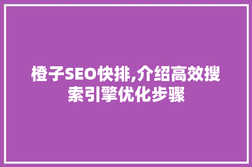 橙子SEO快排,介绍高效搜索引擎优化步骤