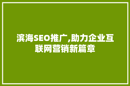 滨海SEO推广,助力企业互联网营销新篇章