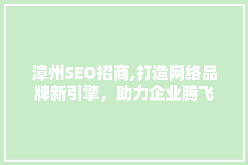 漳州SEO招商,打造网络品牌新引擎，助力企业腾飞