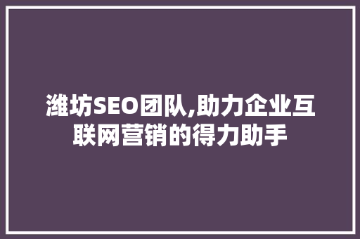 潍坊SEO团队,助力企业互联网营销的得力助手