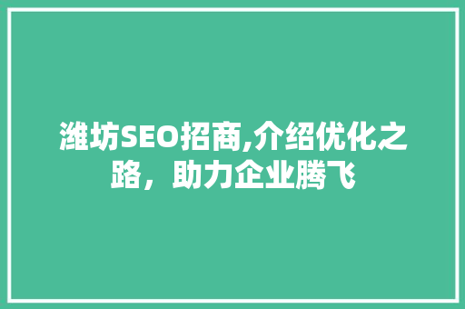 潍坊SEO招商,介绍优化之路，助力企业腾飞