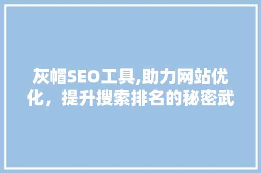 灰帽SEO工具,助力网站优化，提升搜索排名的秘密武器