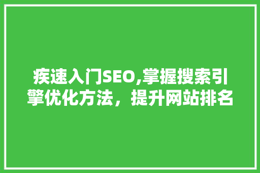 疾速入门SEO,掌握搜索引擎优化方法，提升网站排名 疾速入门SEO,掌握搜索引擎优化方法，提升网站排名 AI技术学习