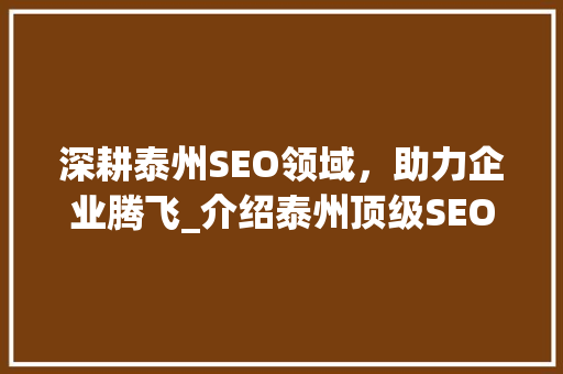 深耕泰州SEO领域，助力企业腾飞_介绍泰州顶级SEO公司