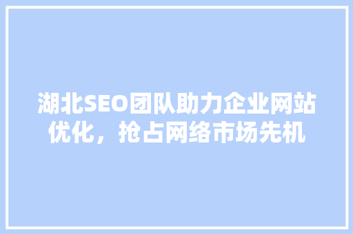 湖北SEO团队助力企业网站优化，抢占网络市场先机