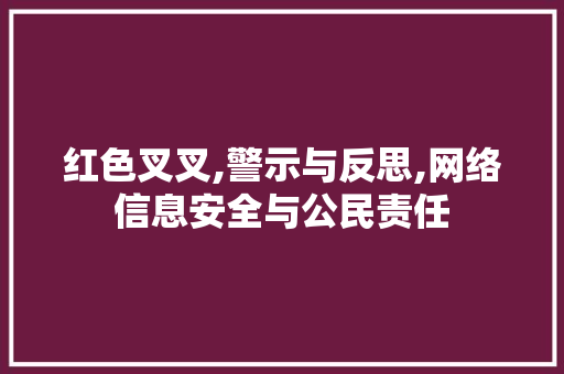 红色叉叉,警示与反思,网络信息安全与公民责任