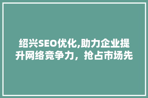 绍兴SEO优化,助力企业提升网络竞争力，抢占市场先机