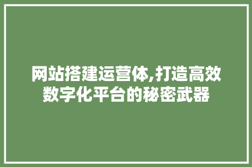 网站搭建运营体,打造高效数字化平台的秘密武器 网站搭建运营体,打造高效数字化平台的秘密武器 网站开发