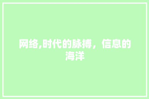 网络,时代的脉搏，信息的海洋