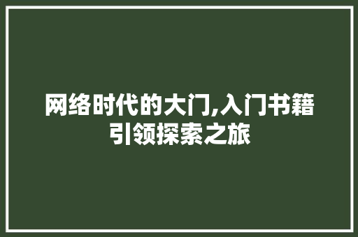 网络时代的大门,入门书籍引领探索之旅