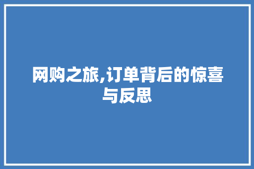 网购之旅,订单背后的惊喜与反思