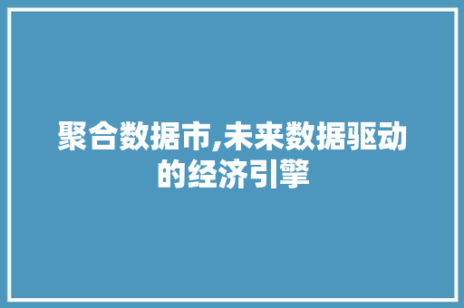 聚合数据市,未来数据驱动的经济引擎