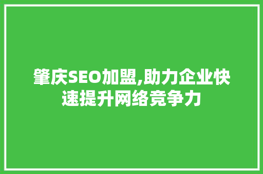 肇庆SEO加盟,助力企业快速提升网络竞争力