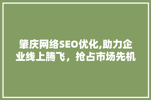肇庆网络SEO优化,助力企业线上腾飞，抢占市场先机