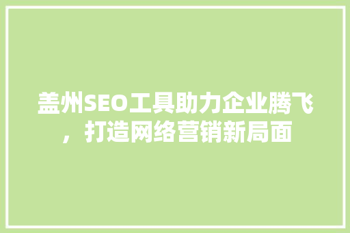 盖州SEO工具助力企业腾飞，打造网络营销新局面