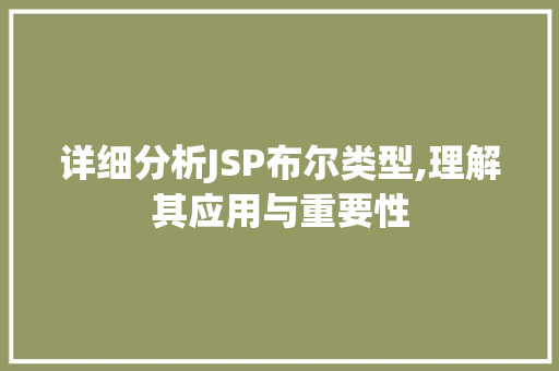 详细分析JSP布尔类型,理解其应用与重要性