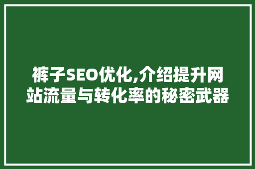 裤子SEO优化,介绍提升网站流量与转化率的秘密武器