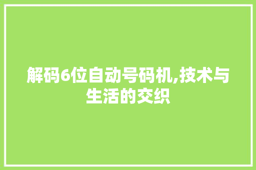解码6位自动号码机,技术与生活的交织