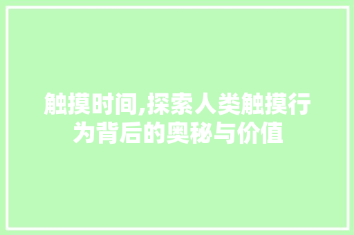 触摸时间,探索人类触摸行为背后的奥秘与价值