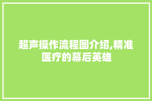 超声操作流程图介绍,精准医疗的幕后英雄