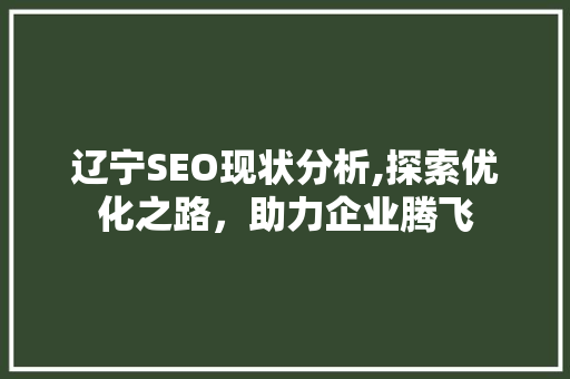 辽宁SEO现状分析,探索优化之路，助力企业腾飞