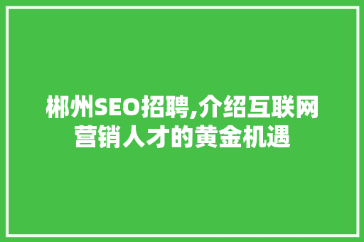 郴州SEO招聘,介绍互联网营销人才的黄金机遇 郴州SEO招聘,介绍互联网营销人才的黄金机遇 小程序开发