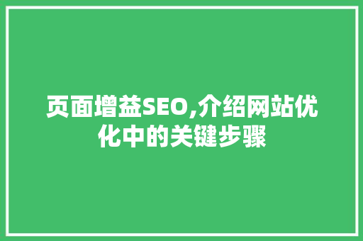 页面增益SEO,介绍网站优化中的关键步骤