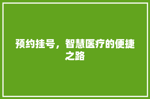 预约挂号，智慧医疗的便捷之路